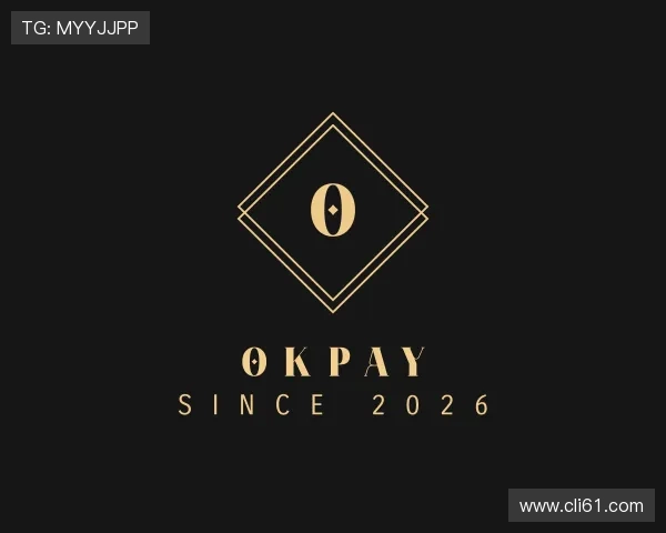 关于OKPAY钱包